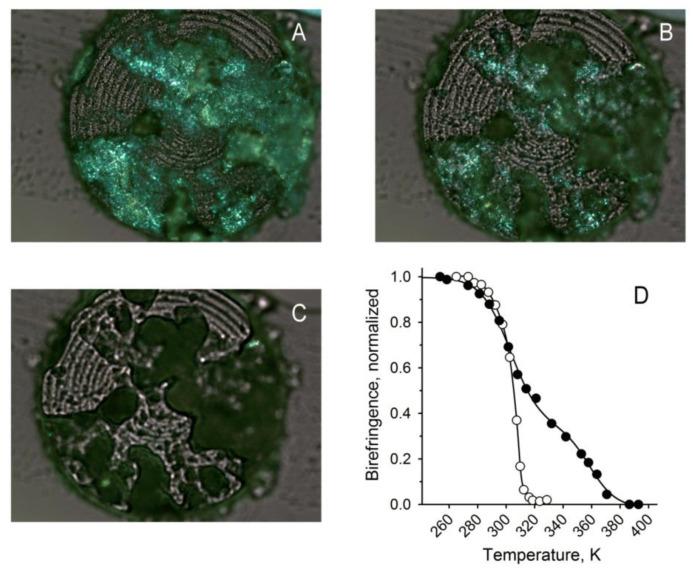 https://cdn.ncbi.nlm.nih.gov/pmc/blobs/0bab/7915537/9a52e4964a49/ijms-22-01583-g008.jpg