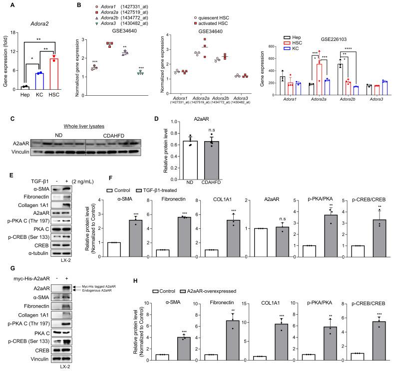 https://cdn.ncbi.nlm.nih.gov/pmc/blobs/0bac/10929195/28a3a8453d53/ijbsv20p1855g002.jpg