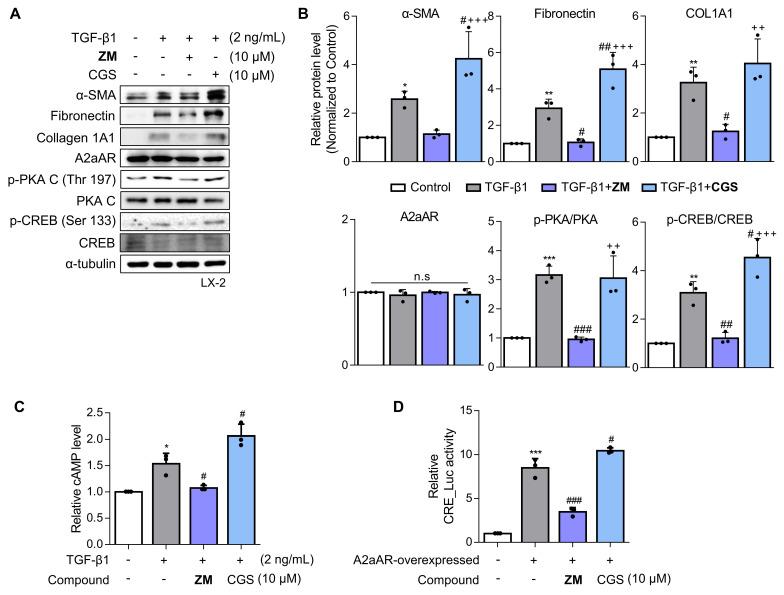 https://cdn.ncbi.nlm.nih.gov/pmc/blobs/0bac/10929195/f7f9722c55c2/ijbsv20p1855g003.jpg