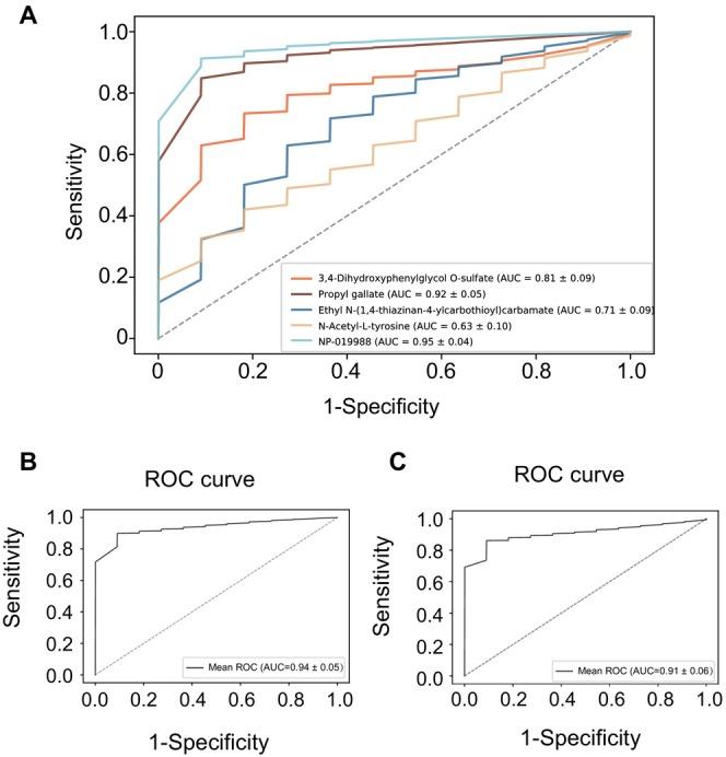 https://cdn.ncbi.nlm.nih.gov/pmc/blobs/0bad/12082280/15decd88bdc4/CNS-31-e70424-g002.jpg