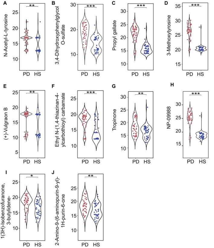https://cdn.ncbi.nlm.nih.gov/pmc/blobs/0bad/12082280/6aa5f2706868/CNS-31-e70424-g007.jpg