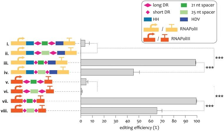 https://cdn.ncbi.nlm.nih.gov/pmc/blobs/0baf/10583194/30ee273b30c2/foad043fig3.jpg