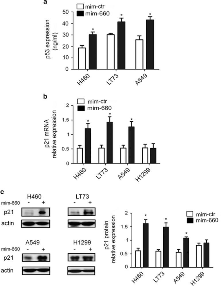 https://cdn.ncbi.nlm.nih.gov/pmc/blobs/0baf/4454158/29a4292a57c0/cddis2014507f5.jpg