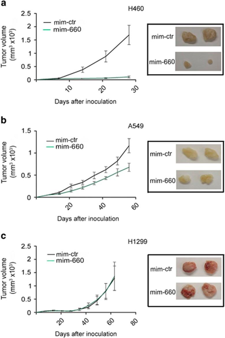https://cdn.ncbi.nlm.nih.gov/pmc/blobs/0baf/4454158/35188074e553/cddis2014507f6.jpg