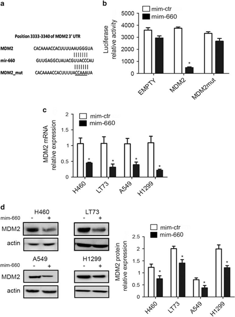 https://cdn.ncbi.nlm.nih.gov/pmc/blobs/0baf/4454158/861f338b99b3/cddis2014507f4.jpg
