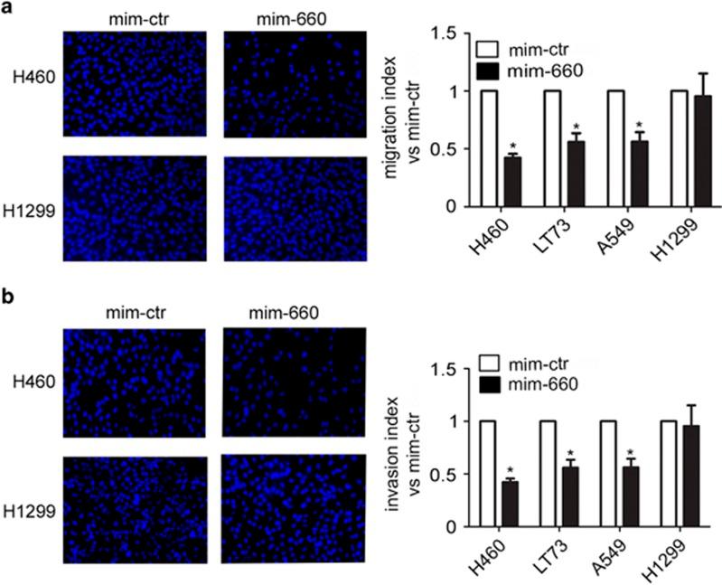 https://cdn.ncbi.nlm.nih.gov/pmc/blobs/0baf/4454158/d5d5ea5ac525/cddis2014507f2.jpg