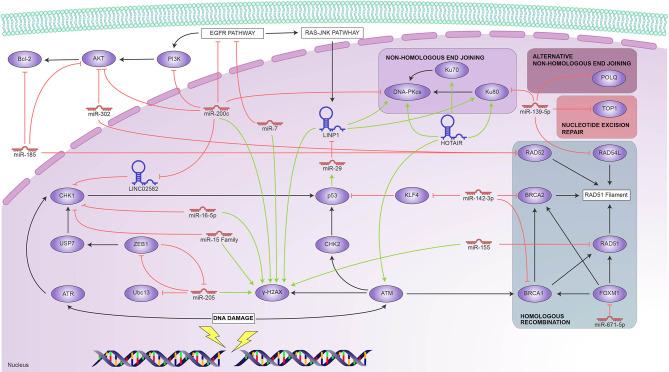 https://cdn.ncbi.nlm.nih.gov/pmc/blobs/0bb0/8599982/886a128e0e30/fonc-11-752270-g001.jpg