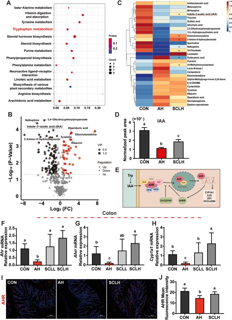 https://cdn.ncbi.nlm.nih.gov/pmc/blobs/0bb1/12397829/1b953d52f03d/gr5.jpg