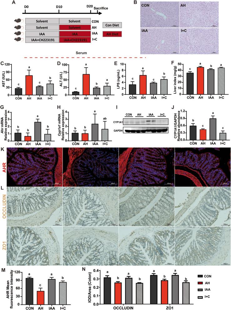 https://cdn.ncbi.nlm.nih.gov/pmc/blobs/0bb1/12397829/eee2a6ea0976/gr7.jpg