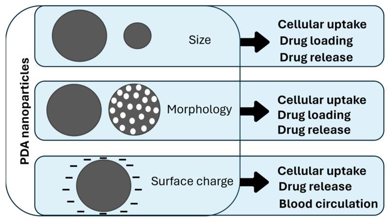 https://cdn.ncbi.nlm.nih.gov/pmc/blobs/0bb2/10856634/1d1f1fd0db7d/nanomaterials-14-00303-g002.jpg