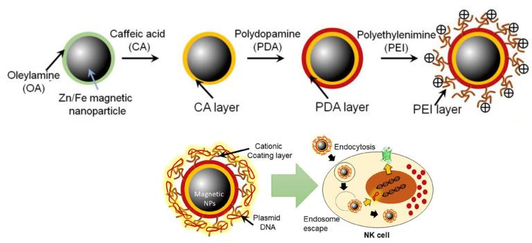 https://cdn.ncbi.nlm.nih.gov/pmc/blobs/0bb2/10856634/42e2c3daaefc/nanomaterials-14-00303-g006.jpg
