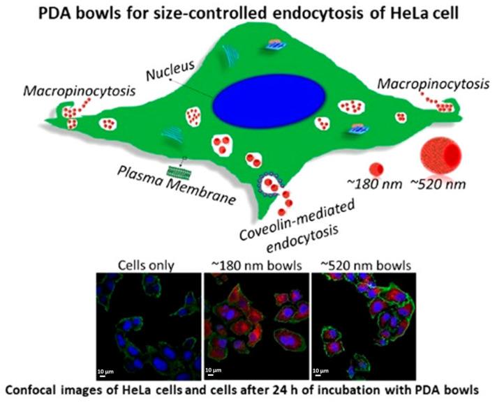 https://cdn.ncbi.nlm.nih.gov/pmc/blobs/0bb2/10856634/71f8da7d63e2/nanomaterials-14-00303-g003.jpg