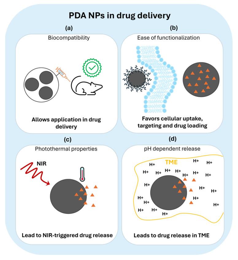 https://cdn.ncbi.nlm.nih.gov/pmc/blobs/0bb2/10856634/c7e3f97f76d3/nanomaterials-14-00303-g001.jpg