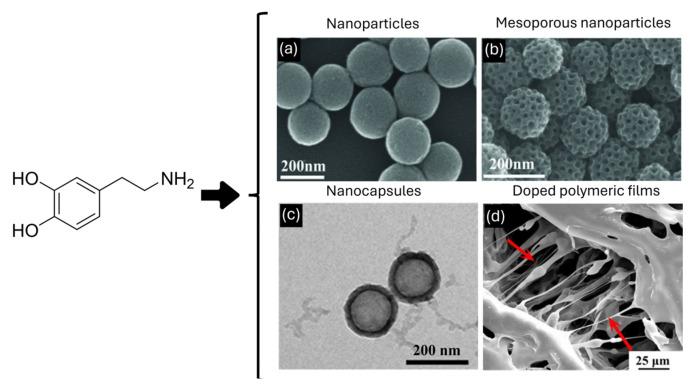 https://cdn.ncbi.nlm.nih.gov/pmc/blobs/0bb2/10856634/cd93188da5ca/nanomaterials-14-00303-g005.jpg