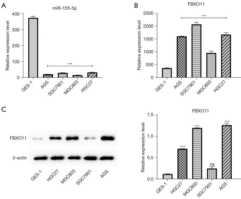 https://cdn.ncbi.nlm.nih.gov/pmc/blobs/0bb2/11912068/0a0528dd4e5d/tcr-14-02-1375-f1.jpg