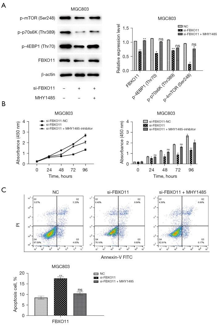 https://cdn.ncbi.nlm.nih.gov/pmc/blobs/0bb2/11912068/1c85cdd354a1/tcr-14-02-1375-f5.jpg