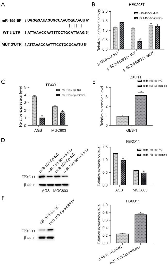 https://cdn.ncbi.nlm.nih.gov/pmc/blobs/0bb2/11912068/ebca62f8acc0/tcr-14-02-1375-f3.jpg