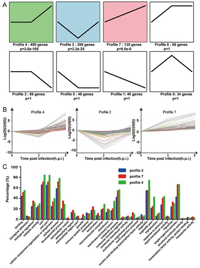 https://cdn.ncbi.nlm.nih.gov/pmc/blobs/0bb2/5601683/111cc8e956fc/oncotarget-08-58668-g006.jpg