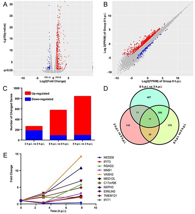 https://cdn.ncbi.nlm.nih.gov/pmc/blobs/0bb2/5601683/4c01ddecb21f/oncotarget-08-58668-g001.jpg