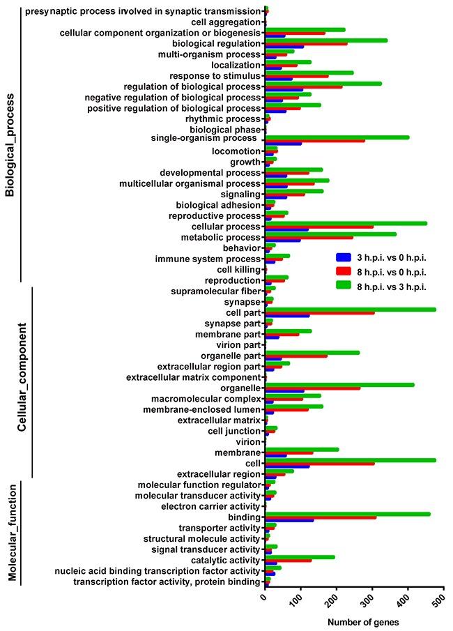 https://cdn.ncbi.nlm.nih.gov/pmc/blobs/0bb2/5601683/a08f097dfa88/oncotarget-08-58668-g002.jpg