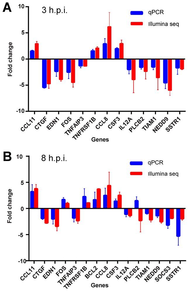 https://cdn.ncbi.nlm.nih.gov/pmc/blobs/0bb2/5601683/dad5e779cc5b/oncotarget-08-58668-g008.jpg