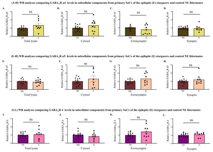 https://cdn.ncbi.nlm.nih.gov/pmc/blobs/0bb2/9778655/be193daf3e97/ijms-23-15685-g008.jpg