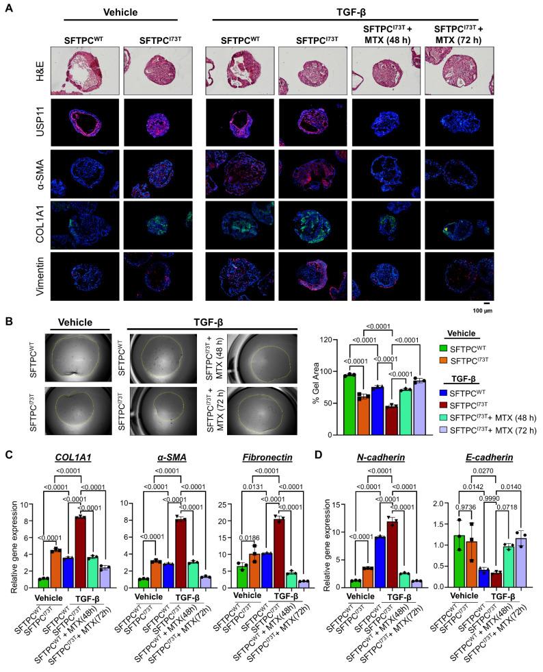 https://cdn.ncbi.nlm.nih.gov/pmc/blobs/0bb3/11984411/057e6a5b9677/thnov15p4526g007.jpg