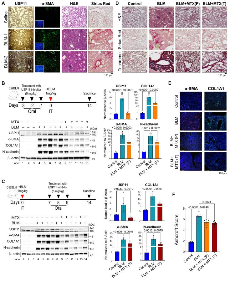 https://cdn.ncbi.nlm.nih.gov/pmc/blobs/0bb3/11984411/c44e511f57b7/thnov15p4526g008.jpg