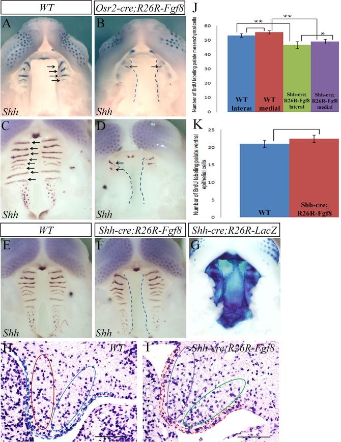 https://cdn.ncbi.nlm.nih.gov/pmc/blobs/0bb3/4558018/9effb30727d3/pone.0136951.g004.jpg