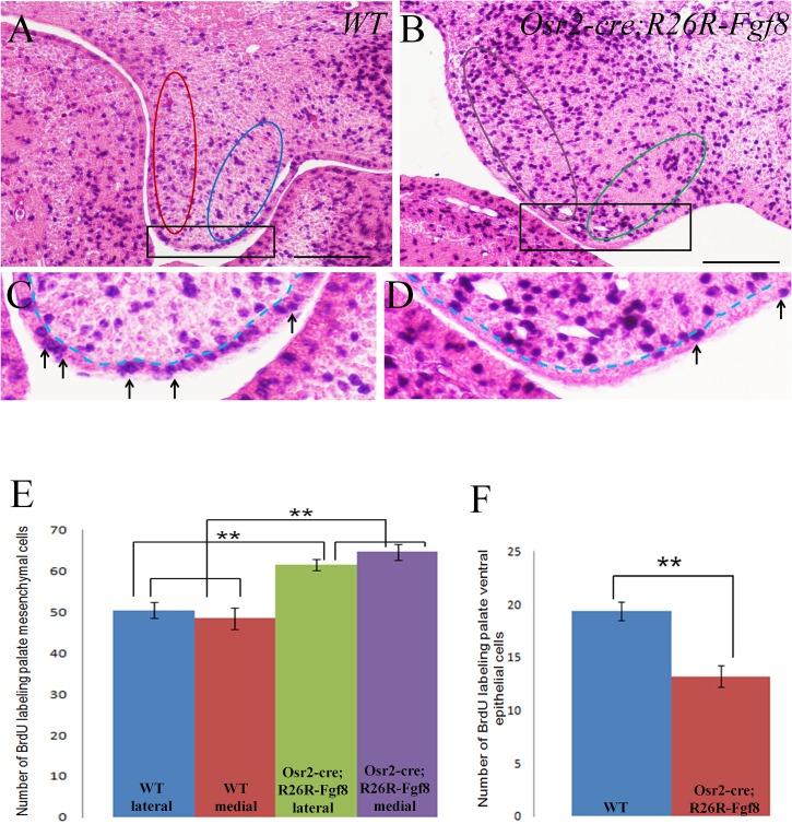 https://cdn.ncbi.nlm.nih.gov/pmc/blobs/0bb3/4558018/cc53112c284a/pone.0136951.g003.jpg