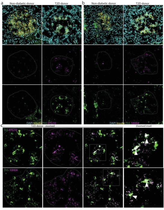 https://cdn.ncbi.nlm.nih.gov/pmc/blobs/0bb3/9731688/42d179a0a383/ADVS-9-2202342-g003.jpg