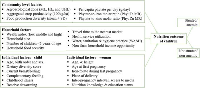 https://cdn.ncbi.nlm.nih.gov/pmc/blobs/0bb5/11650036/661a4a62b9f5/MCN-21-e13736-g003.jpg