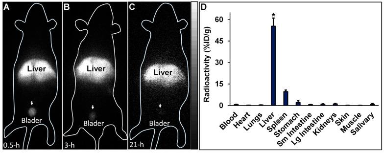 https://cdn.ncbi.nlm.nih.gov/pmc/blobs/0bb6/10817694/969320db1a40/life-14-00097-g008.jpg