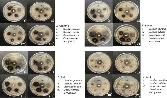 https://cdn.ncbi.nlm.nih.gov/pmc/blobs/0bb6/8888824/60a1e650c8ad/41598_2022_7320_Fig3_HTML.jpg