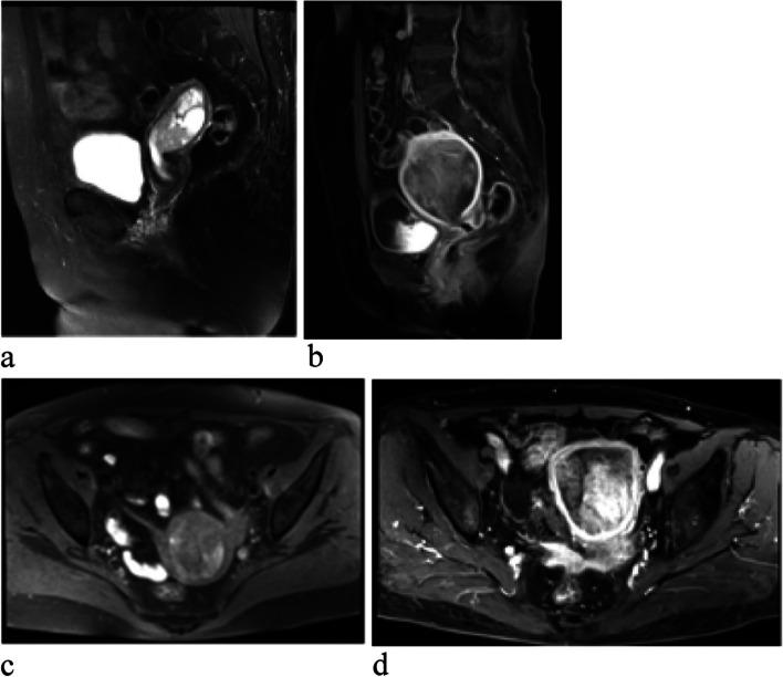 https://cdn.ncbi.nlm.nih.gov/pmc/blobs/0bb7/10877902/eb5a56660895/12880_2024_1225_Fig5_HTML.jpg