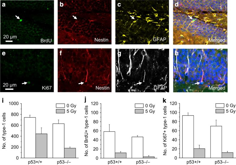 https://cdn.ncbi.nlm.nih.gov/pmc/blobs/0bb9/5045962/2ac9307f5e1f/cddiscovery201672-f3.jpg