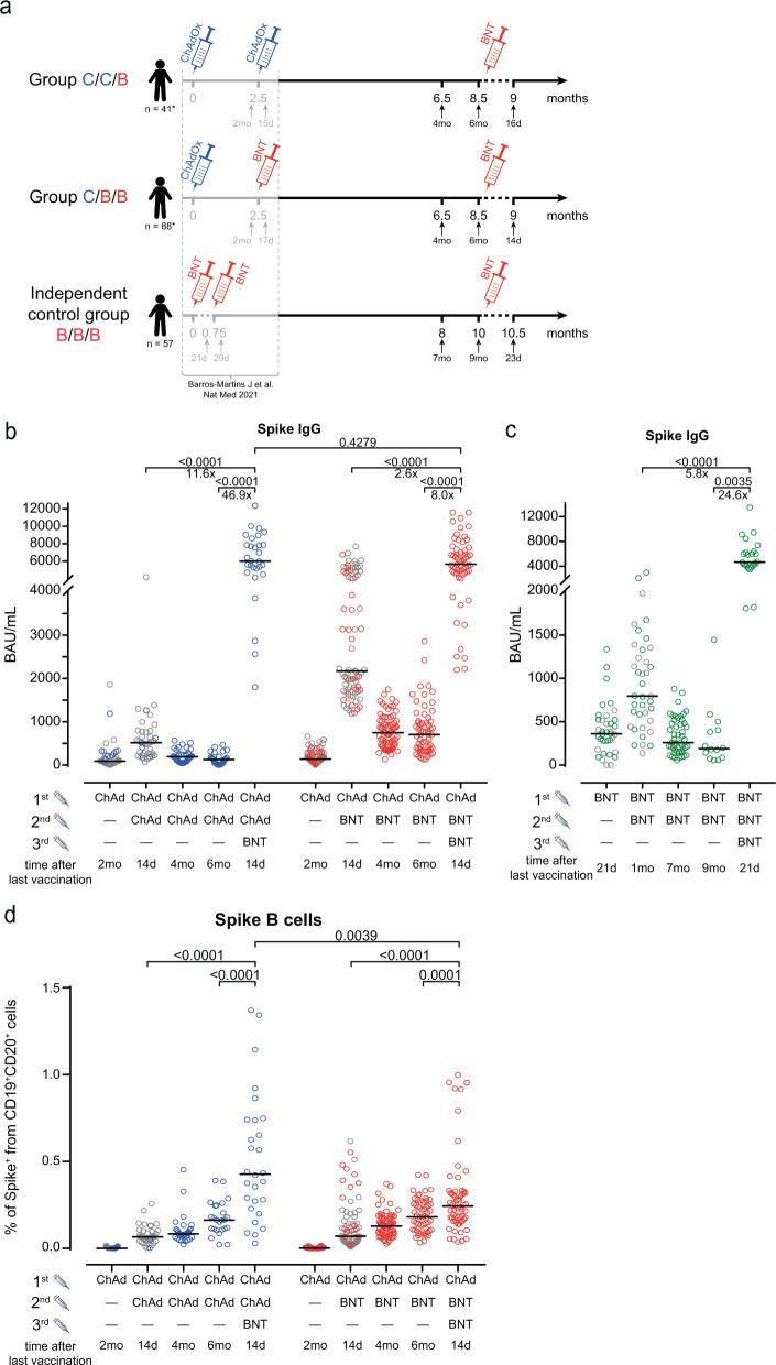 https://cdn.ncbi.nlm.nih.gov/pmc/blobs/0bb9/9388635/e28693aa1d9e/41467_2022_32527_Fig1_HTML.jpg