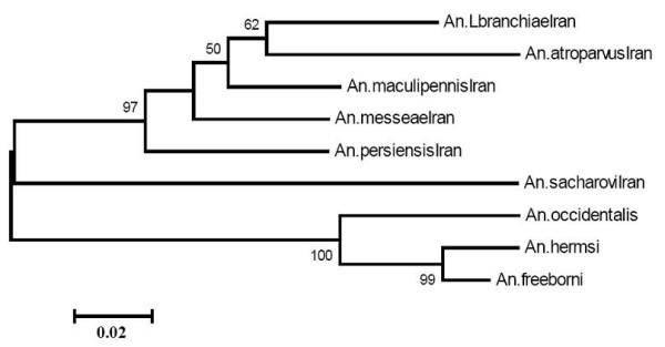 https://cdn.ncbi.nlm.nih.gov/pmc/blobs/0bbb/1784096/0015bdd23e39/1475-2875-6-6-3.jpg