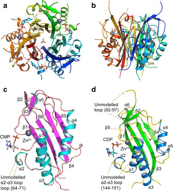 https://cdn.ncbi.nlm.nih.gov/pmc/blobs/0bbc/3927217/8b2cdbd80d94/1472-6807-14-1-2.jpg