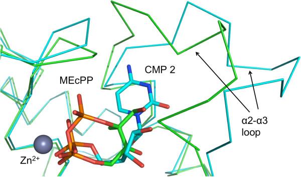 https://cdn.ncbi.nlm.nih.gov/pmc/blobs/0bbc/3927217/b53c81f16f72/1472-6807-14-1-7.jpg