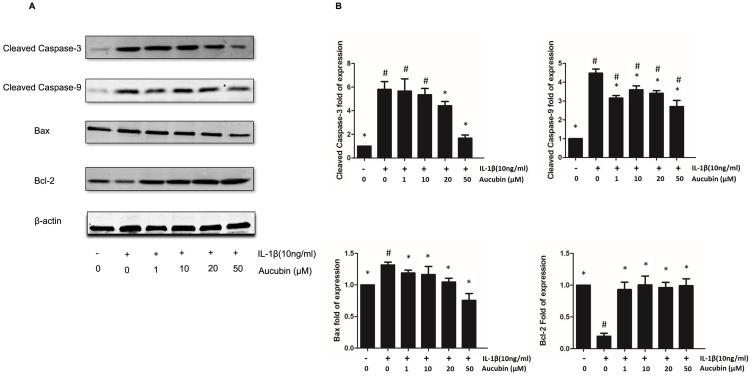 https://cdn.ncbi.nlm.nih.gov/pmc/blobs/0bbe/6791845/0eaacd8905a8/DDDT-13-3529-g0005.jpg