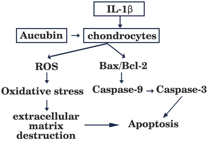 https://cdn.ncbi.nlm.nih.gov/pmc/blobs/0bbe/6791845/1d7960745b16/DDDT-13-3529-g0007.jpg