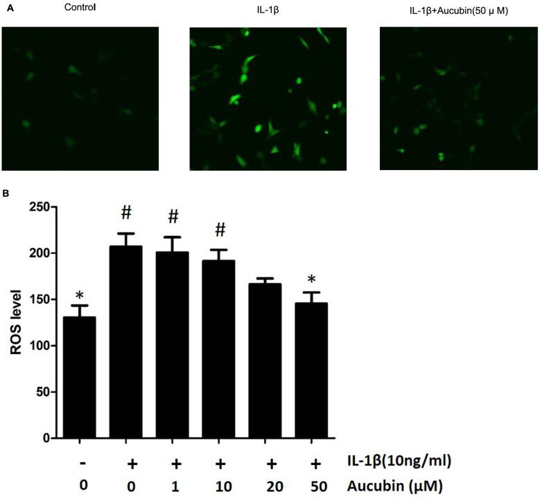 https://cdn.ncbi.nlm.nih.gov/pmc/blobs/0bbe/6791845/7c89c634dec7/DDDT-13-3529-g0006.jpg