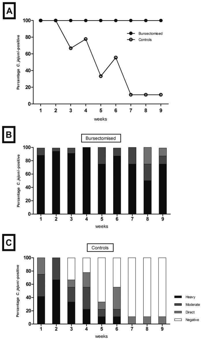 https://cdn.ncbi.nlm.nih.gov/pmc/blobs/0bc0/5362810/74e1bbc7639f/srep45090-f4.jpg