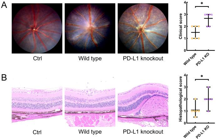 https://cdn.ncbi.nlm.nih.gov/pmc/blobs/0bc1/12130009/606605efd759/fimmu-16-1600673-g001.jpg