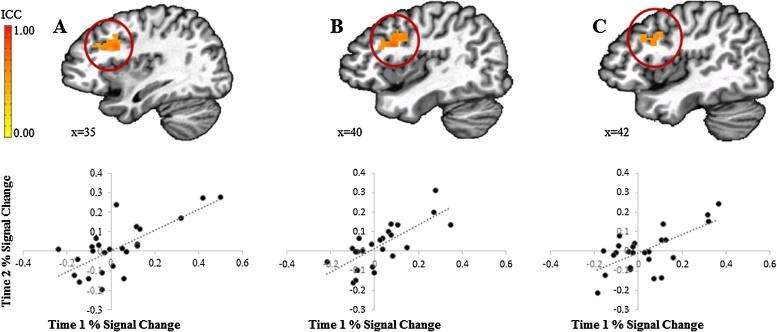 https://cdn.ncbi.nlm.nih.gov/pmc/blobs/0bc2/6969217/d397d33fbcd5/gr2.jpg