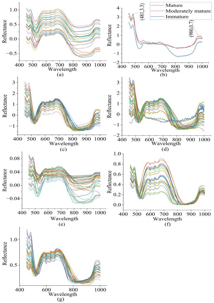 https://cdn.ncbi.nlm.nih.gov/pmc/blobs/0bc3/10256041/09087f27b85d/sensors-23-05327-g003.jpg