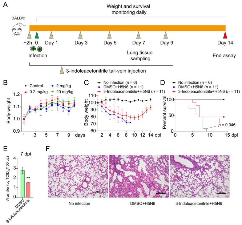 https://cdn.ncbi.nlm.nih.gov/pmc/blobs/0bc3/8402863/a1889eee1ea6/viruses-13-01433-g005.jpg