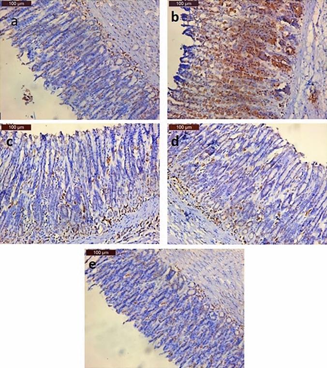 https://cdn.ncbi.nlm.nih.gov/pmc/blobs/0bc5/11136780/d01d9026853e/10787_2024_1469_Fig7_HTML.jpg