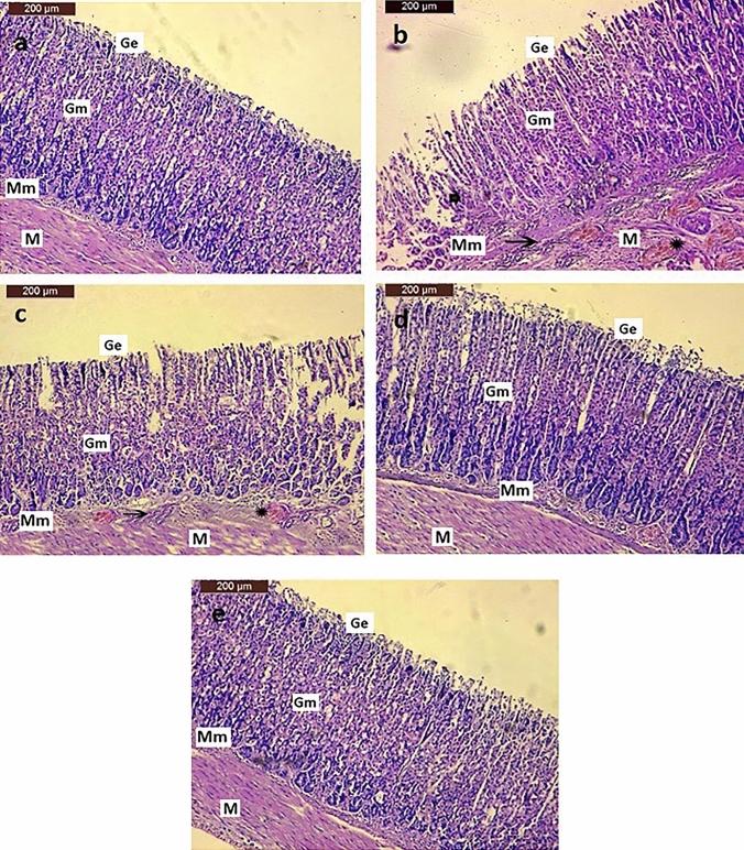 https://cdn.ncbi.nlm.nih.gov/pmc/blobs/0bc5/11136780/f788c7eedcef/10787_2024_1469_Fig8_HTML.jpg